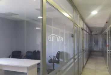 ALPATA GIDA