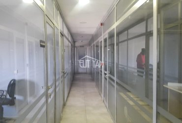 ALPATA GIDA